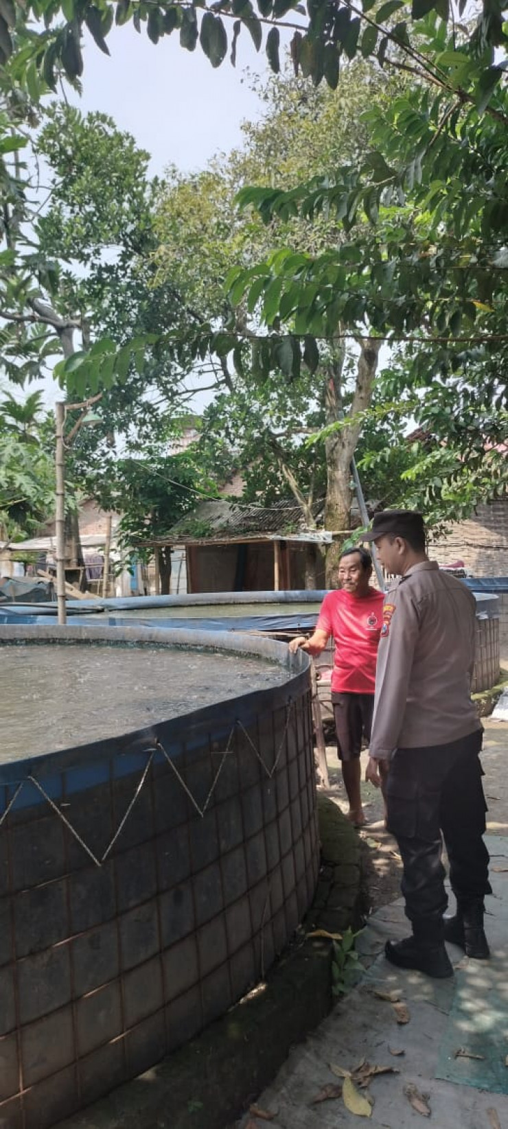 Warga Desa Singogalih Manfaatkan Lahan Ketahanan Pangan untuk Kolam Bioflok Pembesaran Lele