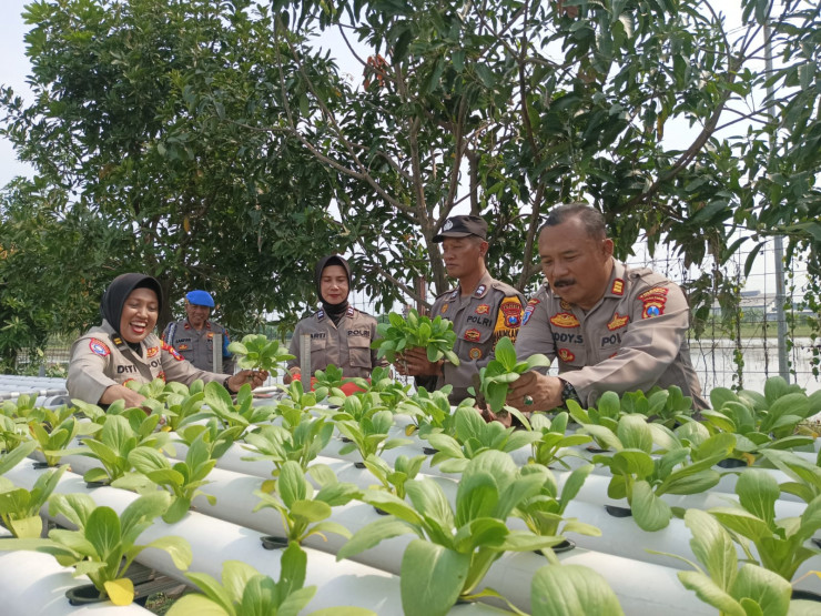 Polresta Sidoarjo Monitoring Desa Percontohan Ketahanan Pangan di Ponokawan Krian