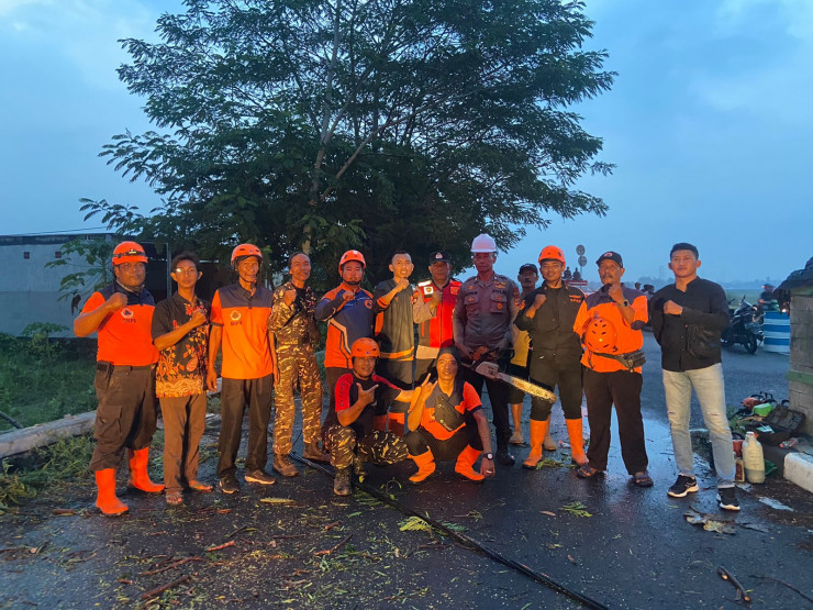 Turun Bareng Evakuasi Pohon Tumbang di Tulangan Sidoarjo