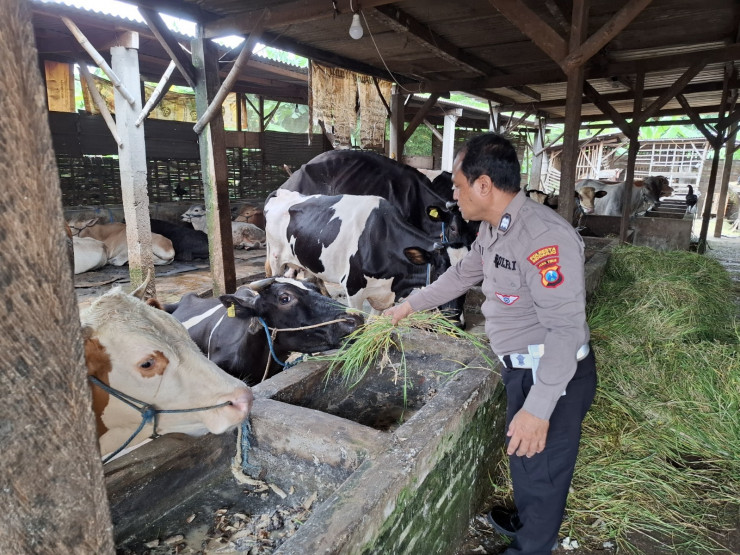 Bhabinkamtibmas Desa Becirongengor Cek Lahan Pekarangan Pangan Bergizi untuk Ternak Sapi