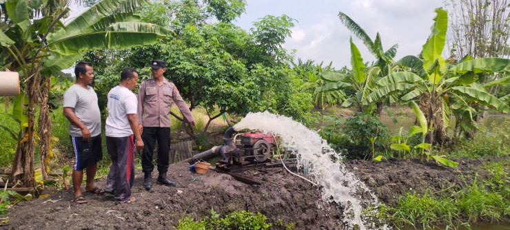 Kapolsek Sedati Dukung Swasembada Pangan, Warga Semampir Olah Lahan Tambak untuk Ketahanan Pangan