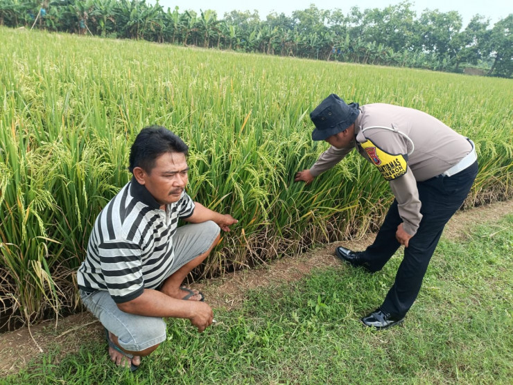 Bhabinkamtibmas Waruberon Sambang Petani Penggerak Ketahanan Pangan
