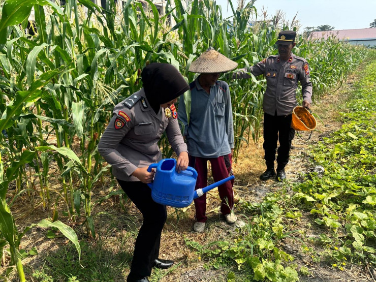 Polsek Sedati Dorong Ketahanan Pangan, Cek Lahan Jagung di Desa Betro